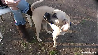 3866 asian porn porn videos